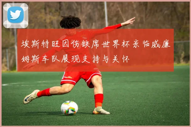 埃斯特旺因伤缺席世界杯亲临威廉姆斯车队展现支持与关怀